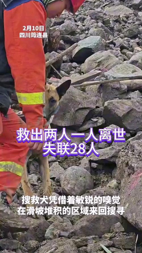 2025年5月 第21页