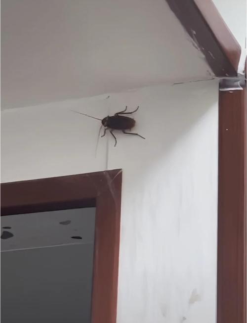 香港澳门 第9页