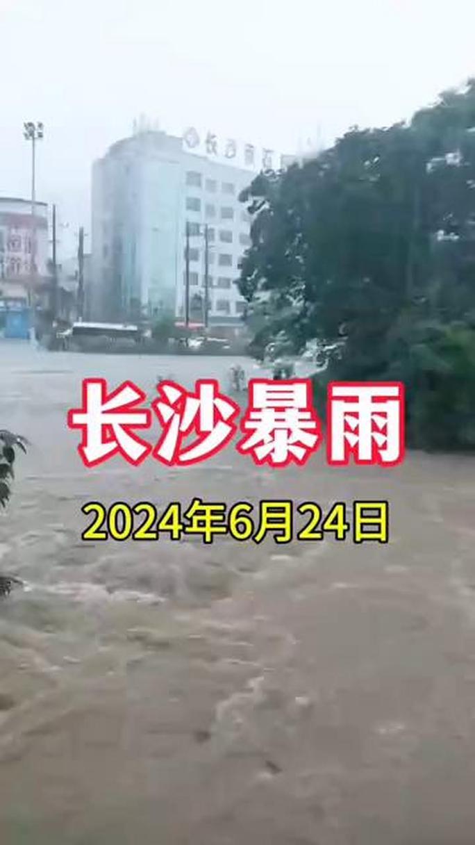 下载中心 第6页